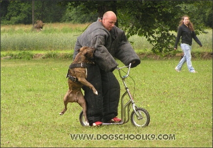 Training camp - Lukova 2007